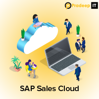 Hire SAP Sales Cloud Developers